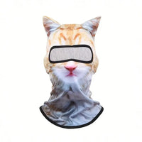 Orange Tabby